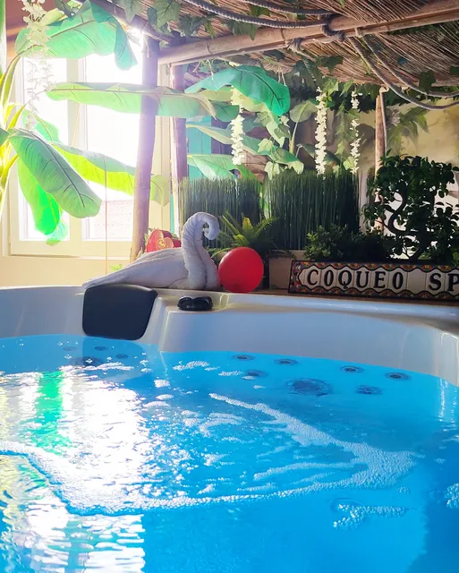 Coquéo Spa - logement Atypique[ SPA PRIVATISÉ ]