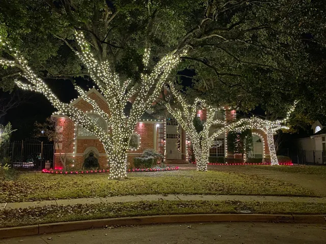 Bright Christmas Holiday Lighting