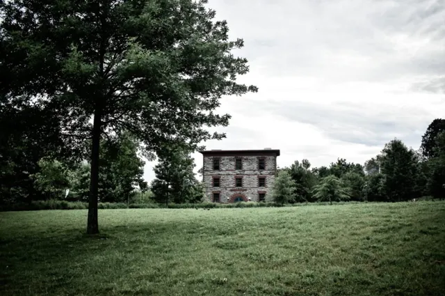 Boroughs of the Dead