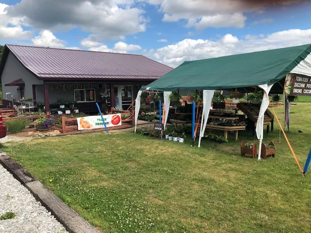 Fancy Flowers & Greenhouse