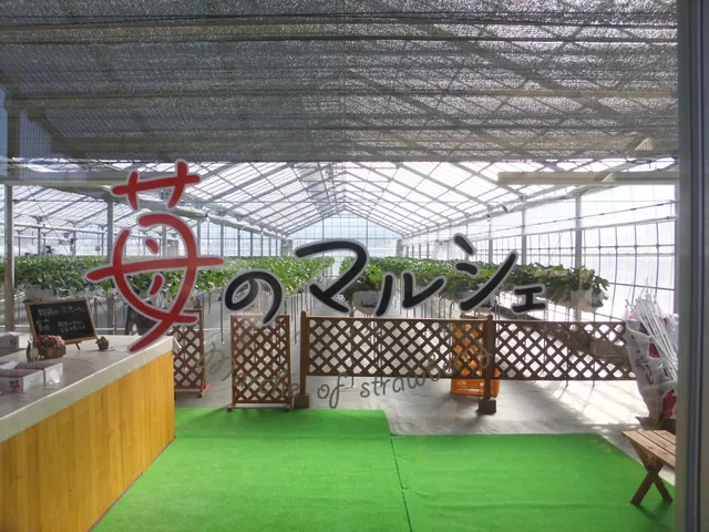 Kitada Farm - Strawberry Picking