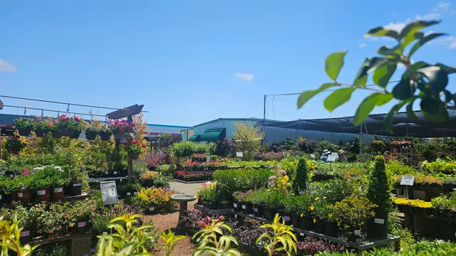 Almaden Valley Nursery