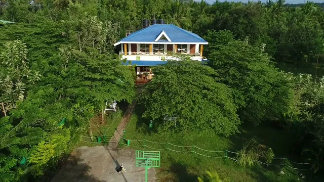 The Midway Jungle Resort