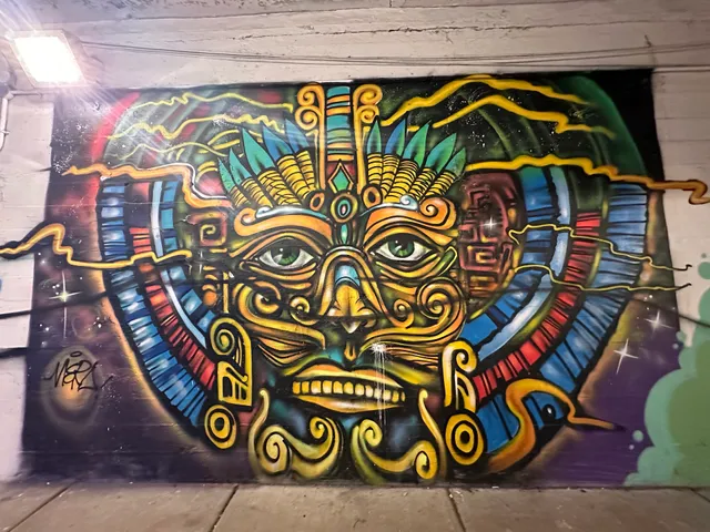 16th St Murals (Westside - S Wood to S Canal)