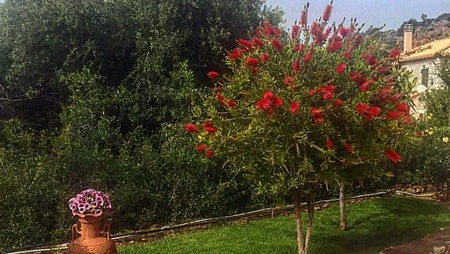 Muses Apartments—Kardamyli