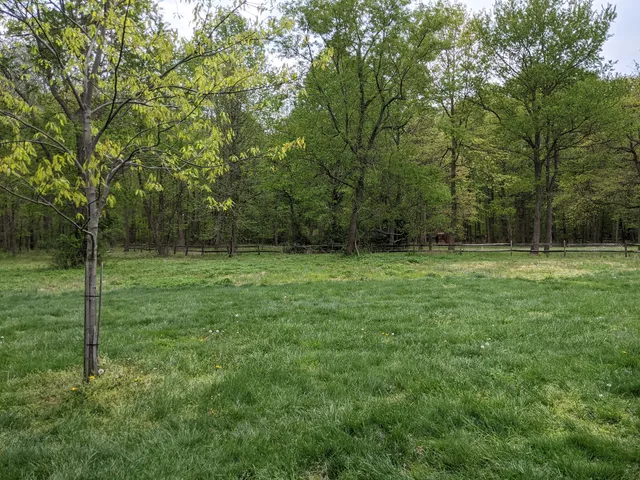 Old Orchard Picnic Area