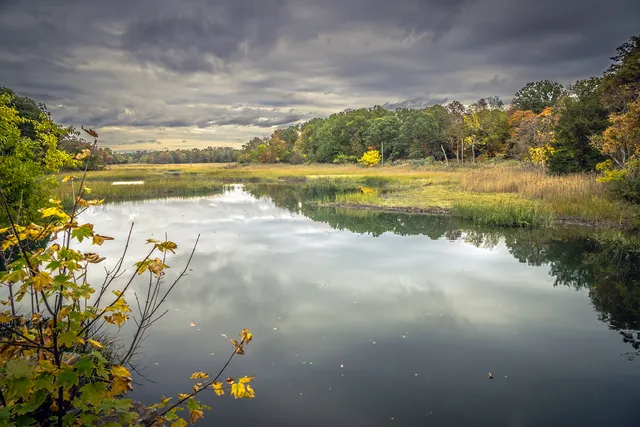 Otter Creek Preserve