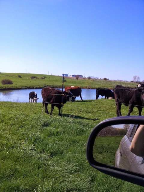 Our Lady of Victory Farm