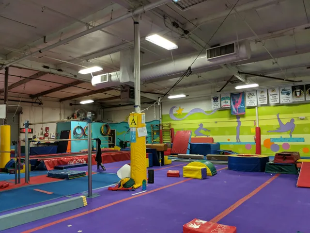 Gold Star Gymnastics