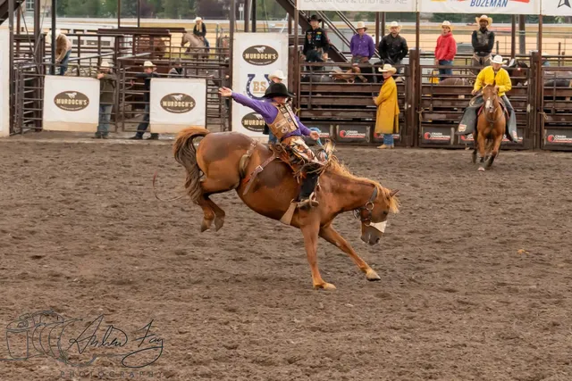 Bozeman Stampede Rodeo