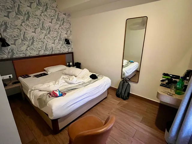 Roiki hotel pulice bazar