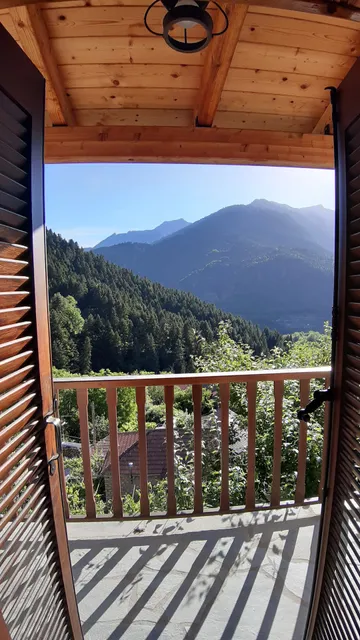 Μορχέλα - Morchella