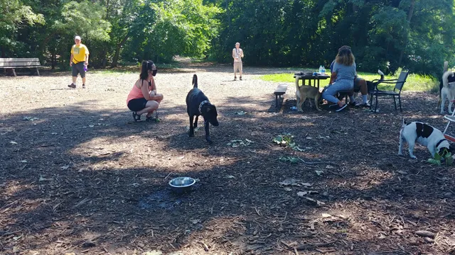 Arlington/Arkwright Off Leash Dog Park