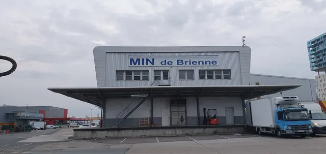 Min De Brienne Marché de Gros de Bordeaux