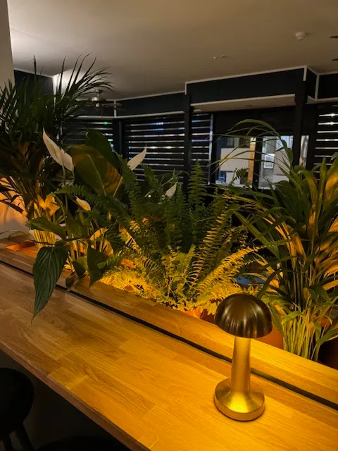 Alchemy Bar & Lounge