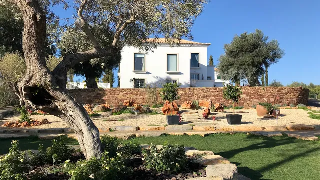 La Senhora Das Oliveiras