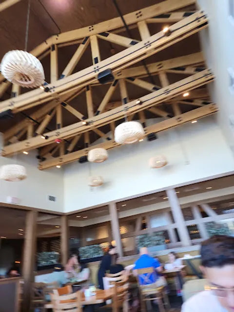 Olive Garden Italian Restaurant