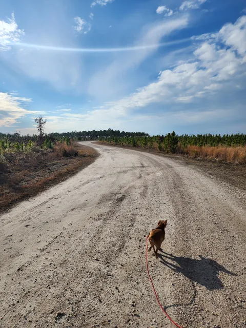 Stones Creek Game Lands