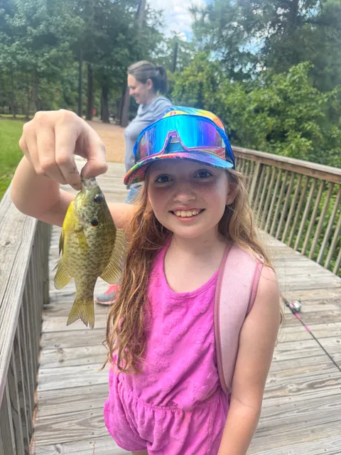 Mystic Pond at Grand Central Park