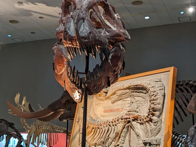 大阪自然史センター