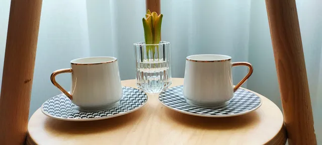 Apartament Centrum Sobieski