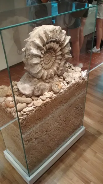 Ojców National Park Museum them. prof. Szafer