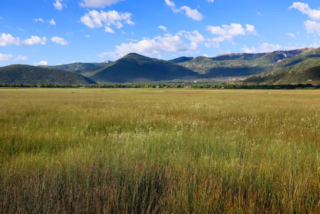 Swaner Preserve & EcoCenter