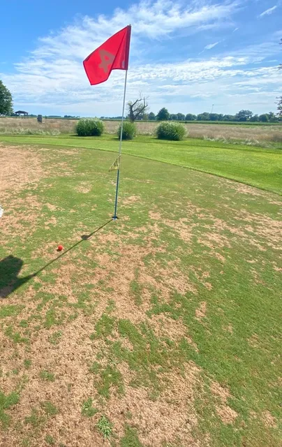 Woods Ranch Cattle Co.