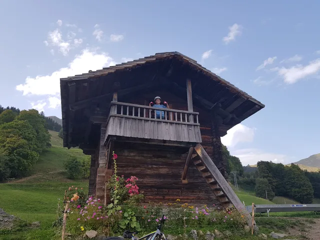 Chalet Planchenaz
