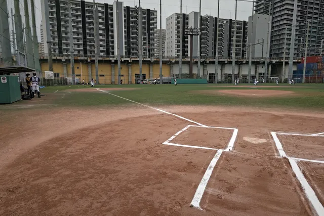 Shinagawa South Wharf Park Baseball Field