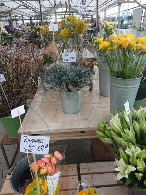 Erlev Blomster- og Havecenter