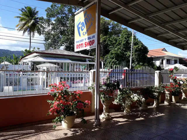 Trini Curry N Grill Ltd