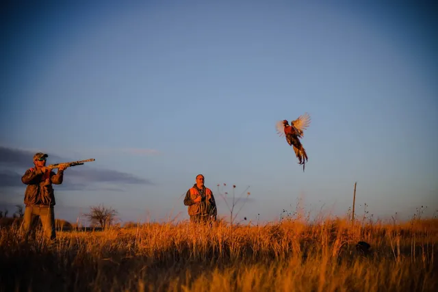 10 Gauge Outfitters LLC