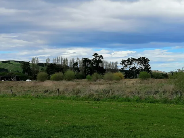 Sparks Road Wetlands
