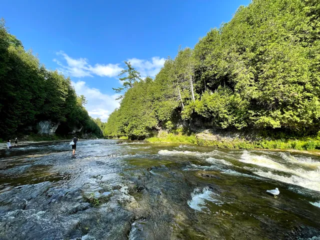 Tubing Launch (Start)