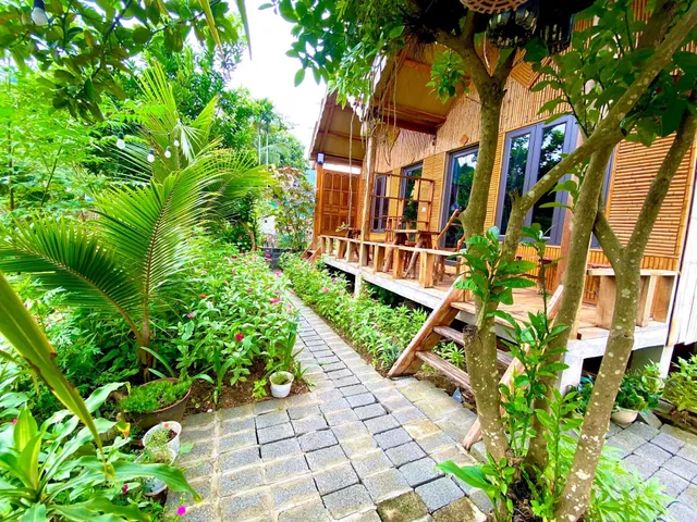 Mai chau rice fields homestay