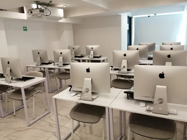 Universidad Coco School México