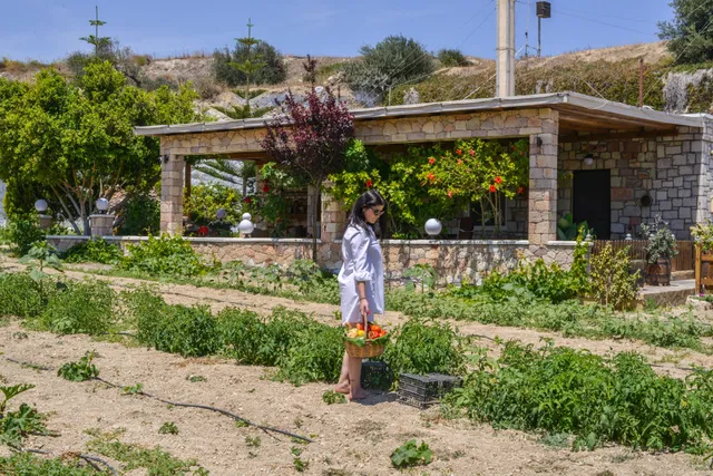 Emilia's Little Farmhouse