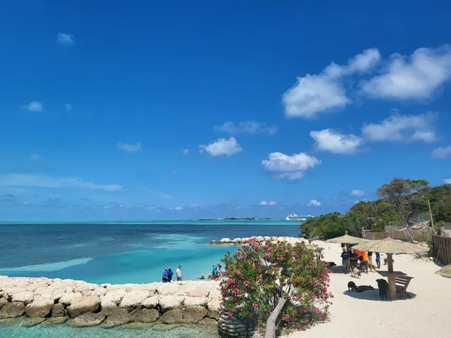 Shore Excursions Desk