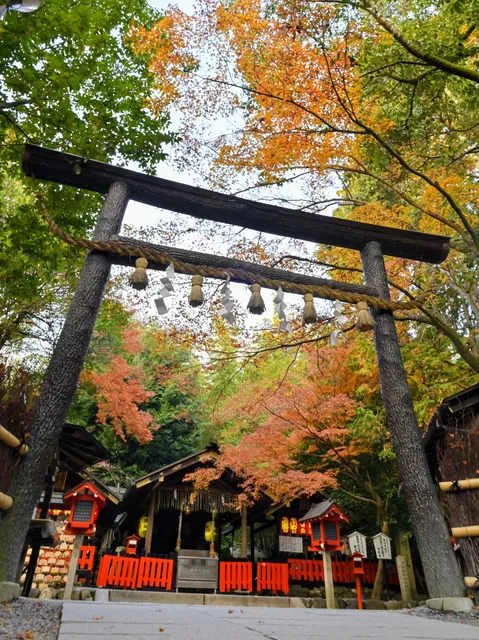 Nonomiya Shrine Black Torii gate