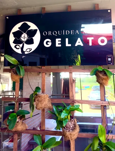 Gelato Orquídea Negra