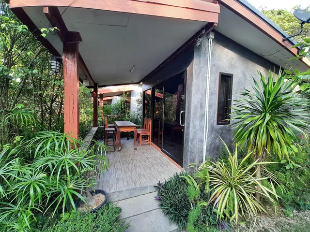 เฮือนกว่าง