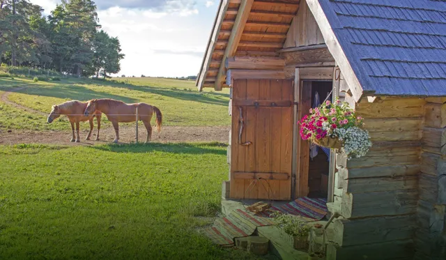 Rear The Farm and Camping place