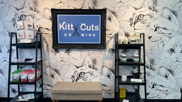 Kitty Cuts Grooming