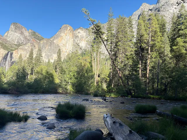 Yosemite Falls View