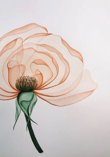 Watercolor with Anya Crowe