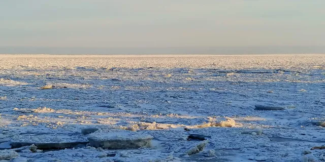 South Shore Motor Lodge