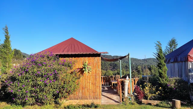 แซงชัวร์ วิว ดอยอินทนนท์