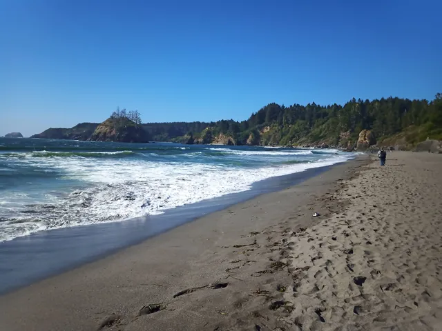 Trinidad State Beach