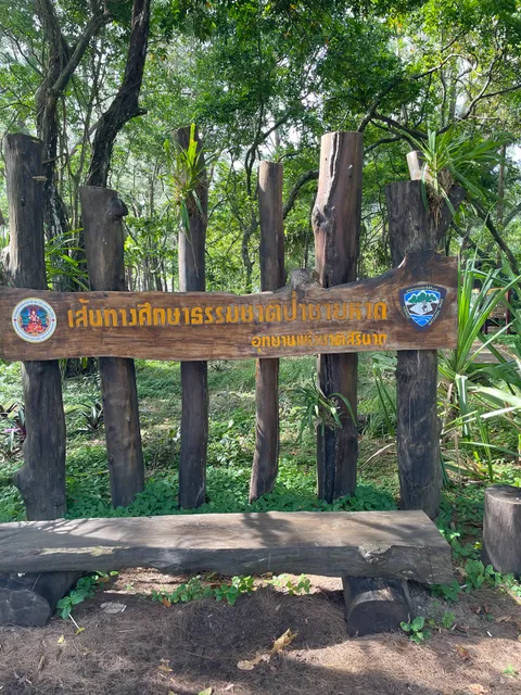 Beach Forest Nature Trail